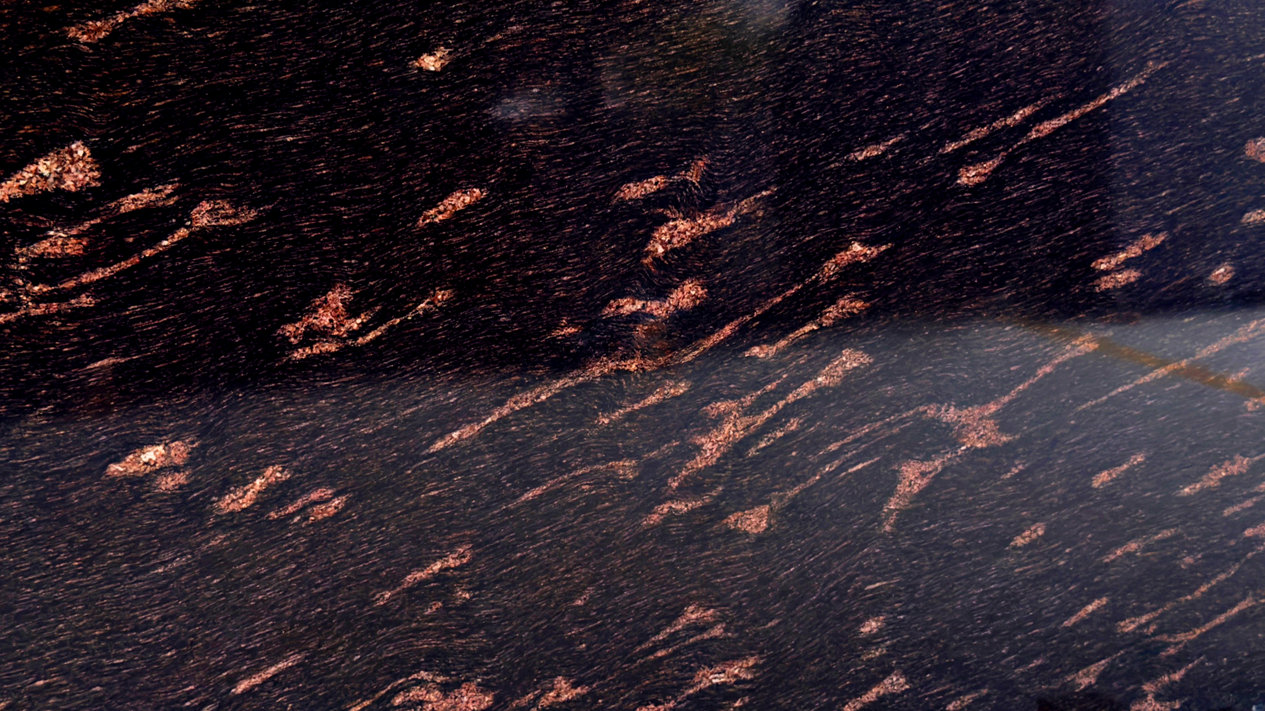 Fish Brown Granite
